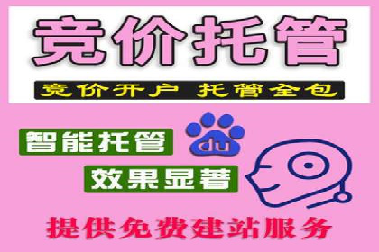 百度推广平台在电商行业的应用成功案例