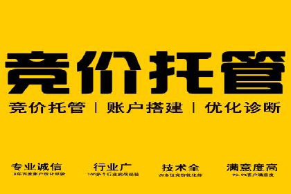 SEM搜索引擎优化成功案例，揭示优化策略与技巧